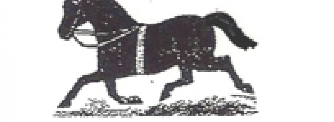 logo paard