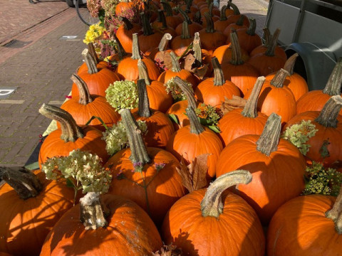 Pompoenactie 2021 4